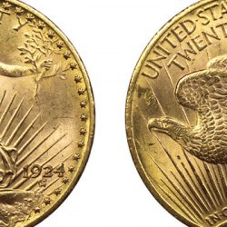 20 Dollars US