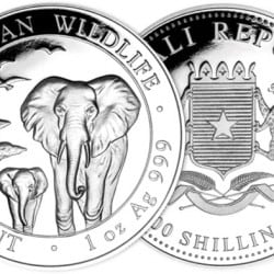 Éléphant de Somalie : 1 once Argent