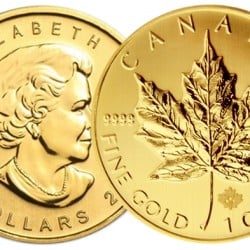 Maple Leaf or : once Canadienne